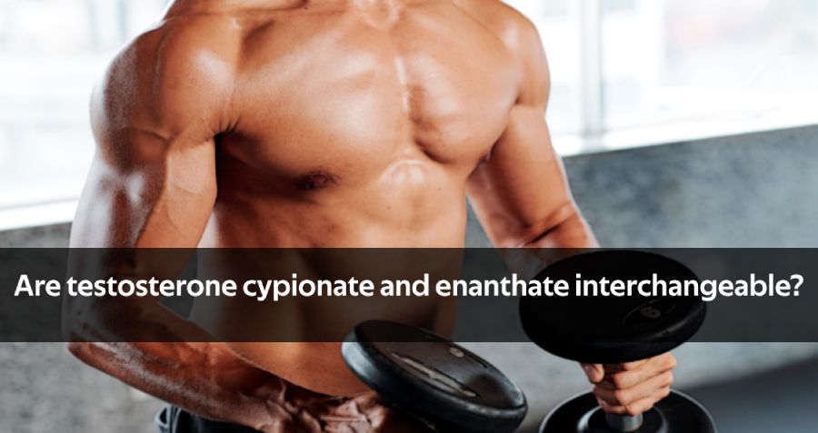 can you mix testosterone cypionate and enanthate